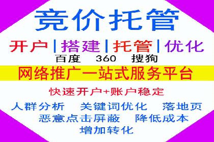 谷歌竞价广告的实时监控与调整策略——某公司经验分享